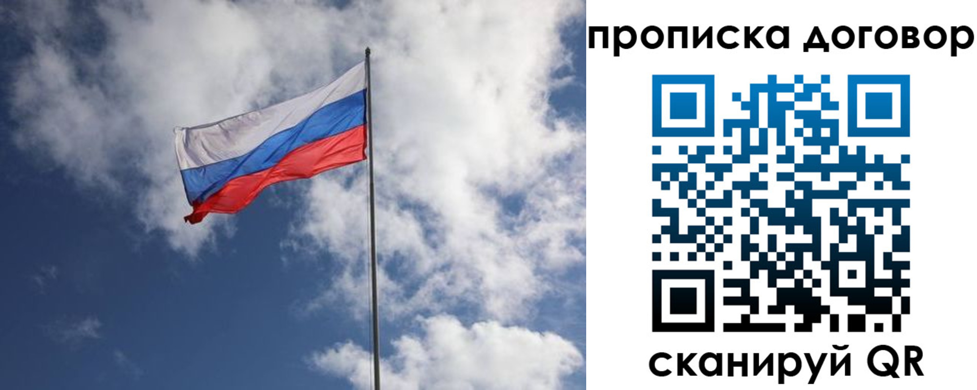 прописка поиск в Ленинградской области